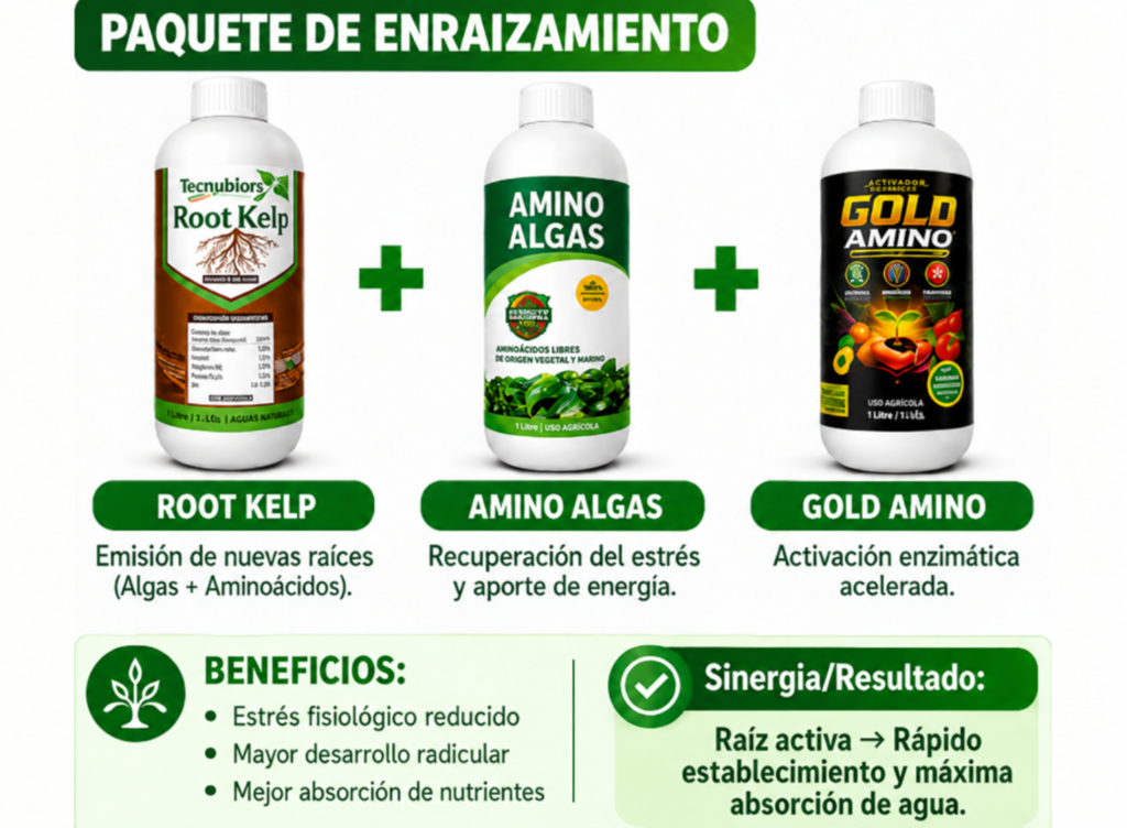 Paquete de enraizamiento para el cultivo de arroz - Tecnubior SAC