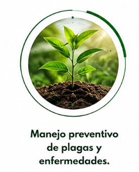 uso inicial de biocid plus